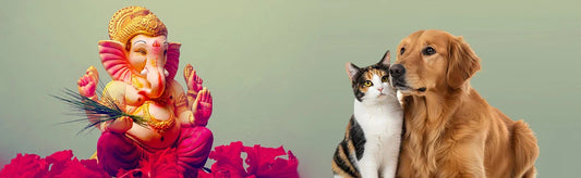 Ganesh Chaturthi with Stressza for Pets
