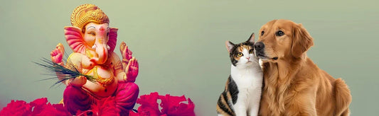 Ganesh Chaturthi with Stressza for Pets