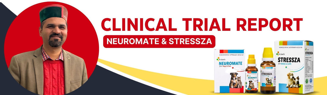Neuromate and Stressza as Supportive Therapy in Canine Distemper