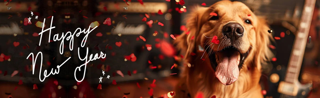 New Year with pets - GVP