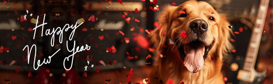 New Year with pets - GVP