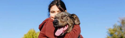 Pet Care Tips Every Dog and Cat Parent Should Know