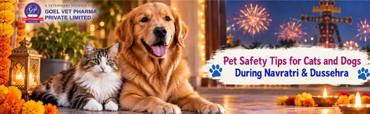Pet Safety