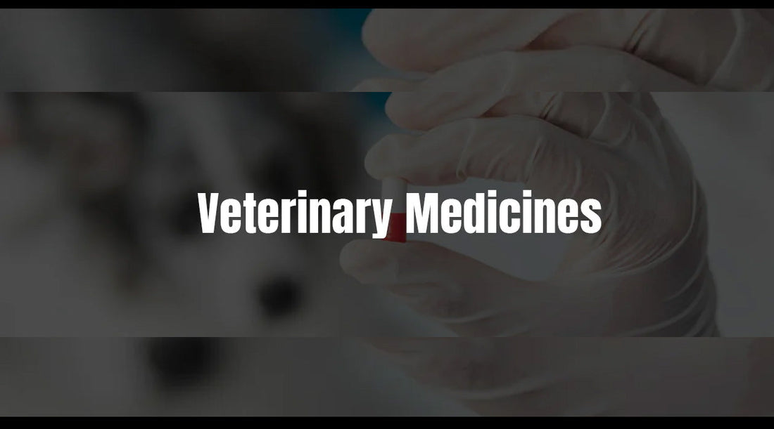 Top Veterinary Medicines for Common Pet Diseases