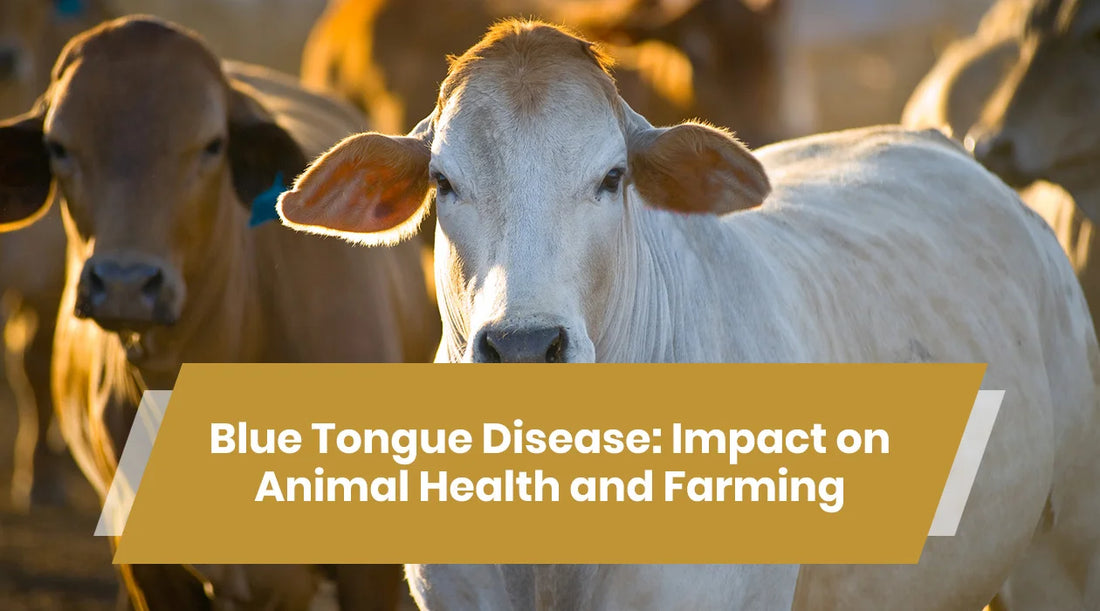 blue tongue disease