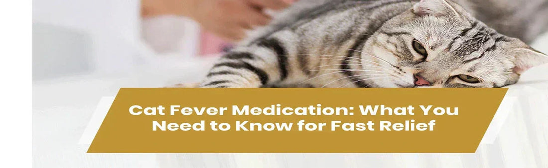 Cat Fever Medication