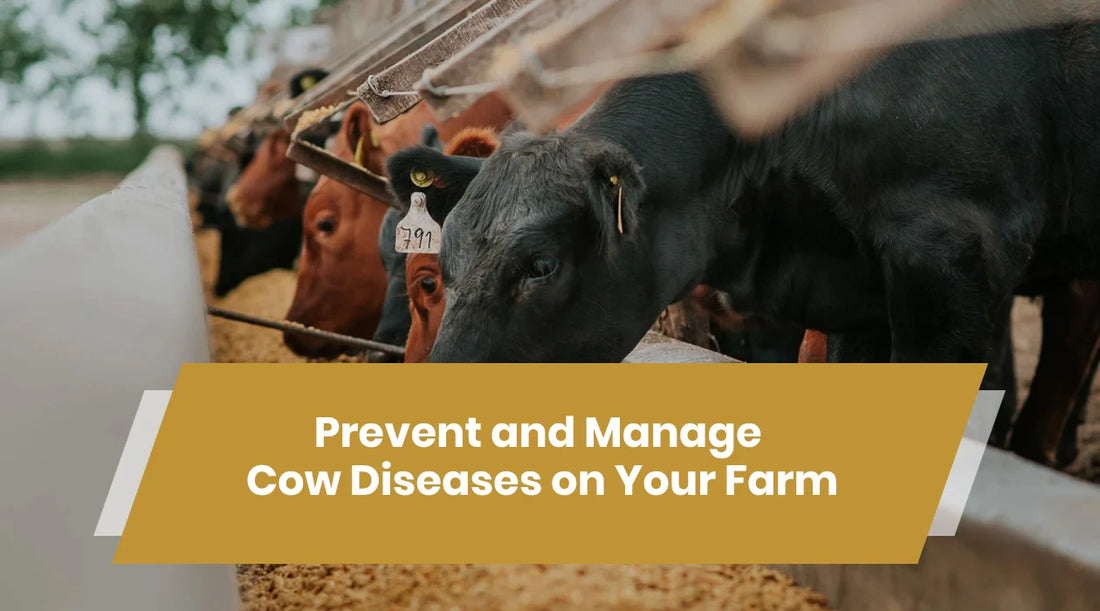 cow diseases