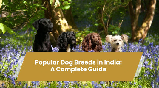 dog breeds in india