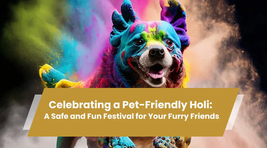 Celebrating a Pet-Friendly Holi: A Safe and Fun Festival for Your Furry Friends