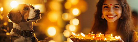 pet friendly Diwali
