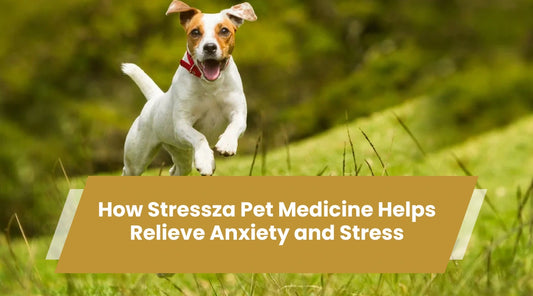 stressza pet medicine