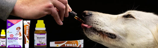 wartgo kit for pets