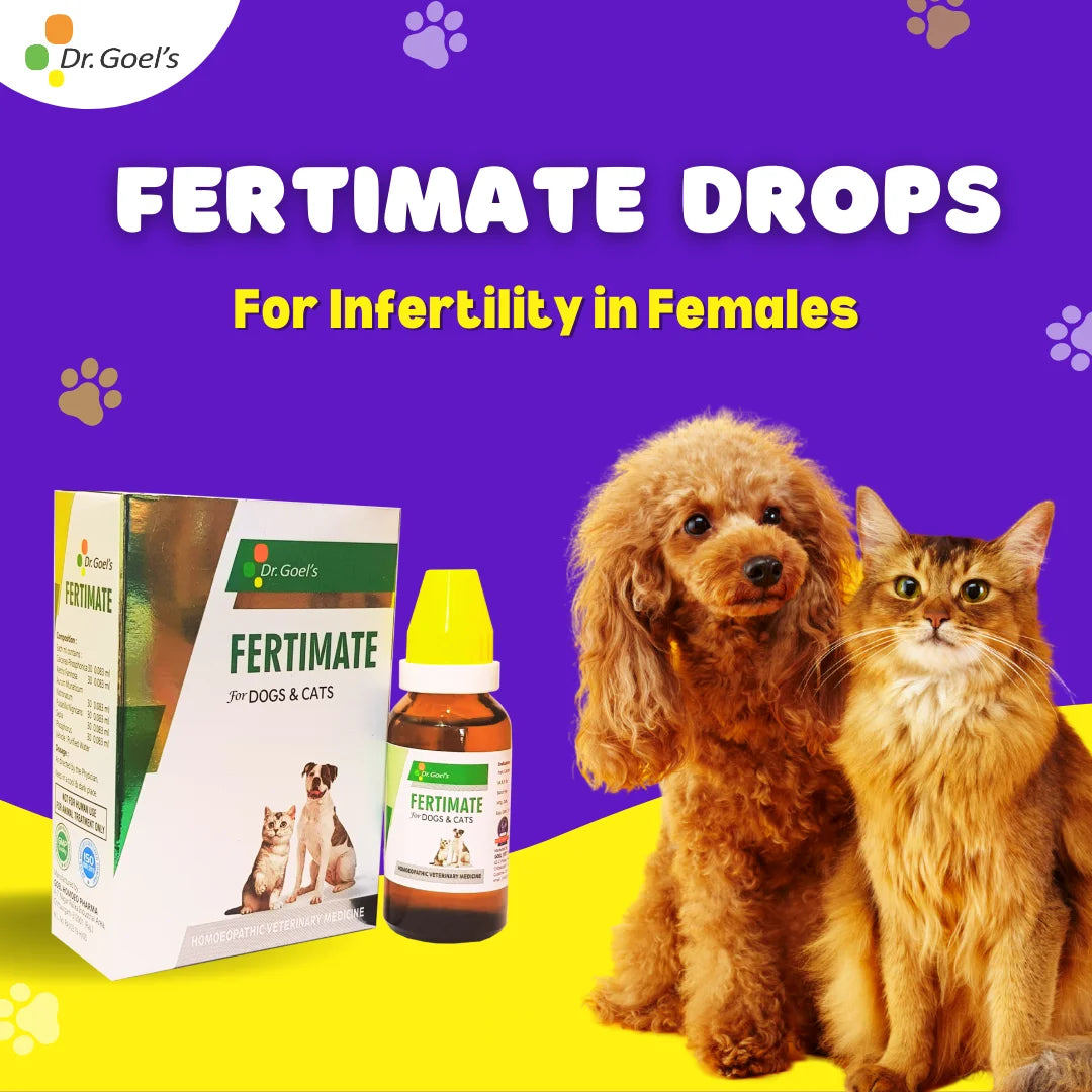 Fast Action To Improved Fertility Fertimate + Iron + Calcium + Immunity (Combo)