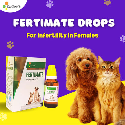 Fast Action To Improved Fertility Fertimate + Iron + Calcium + Immunity (Combo)