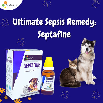 DOUBLE ACTION ON SEPSIS AND INFECTIONS Septafine + Me & My Skin & Coat (Combo)