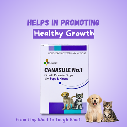 CANASULE No.1 for PUPS and KITTENS 30ml For Boosting Immunity