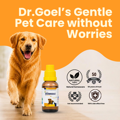 DERMISULE for PETS 30ml For Skin Infections