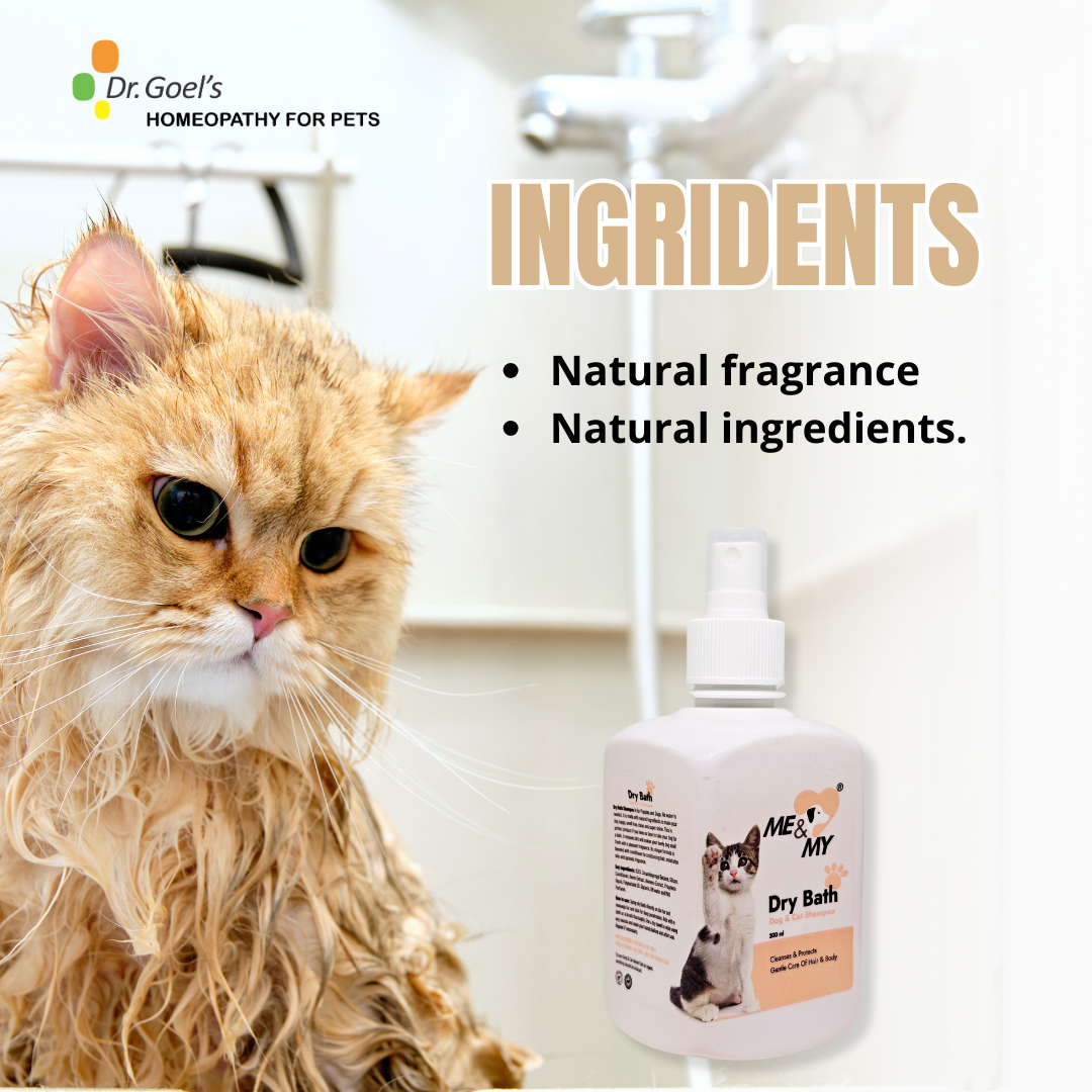 Dry Bath Pet Shampoo helps pets fresh and hygienic without water