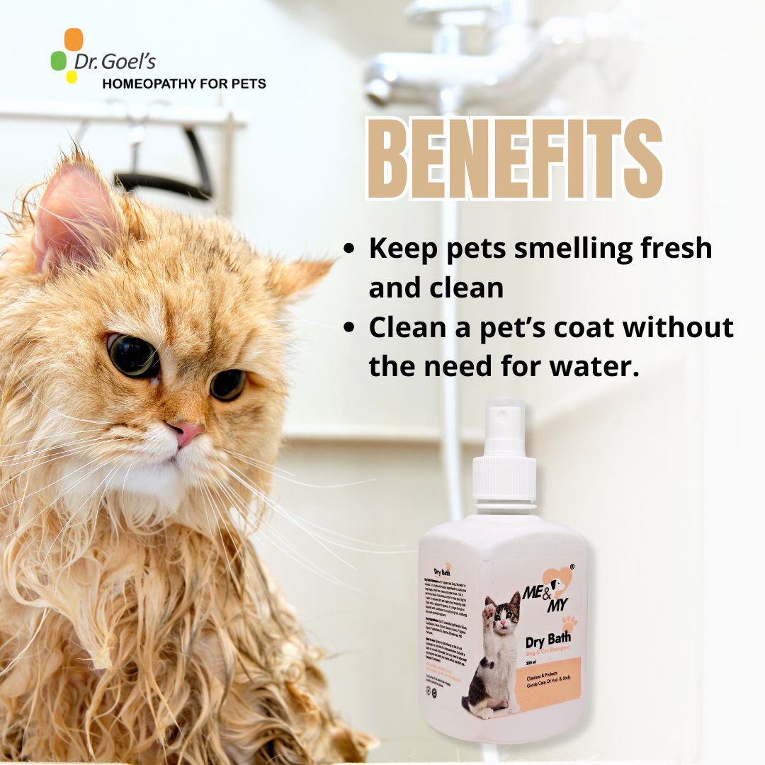 Dry Bath Pet Shampoo helps pets fresh and hygienic without water