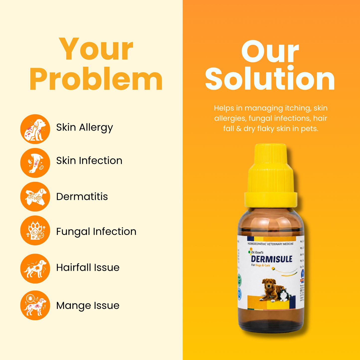 DERMISULE for PETS 30ml For Skin Infections