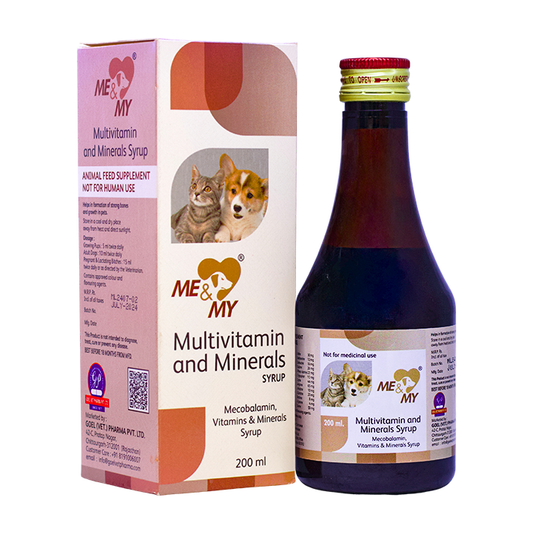 Multivitamins and Minerals Supplement for Pets | Energy Booster