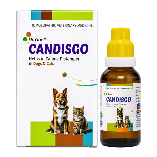 CANDISGO Helps in Canine Distemper in Dogs & Cats