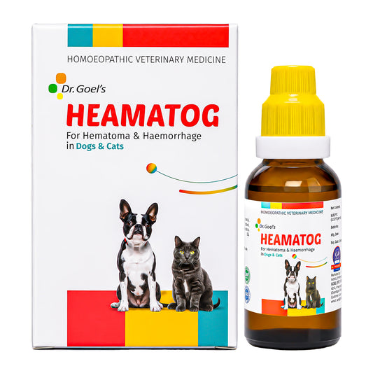HEAMATOG For Hematoma & Haemorrhage in Dogs & Cats