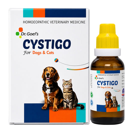 CYSTIGO for PETS 30ml For Urinary Problems