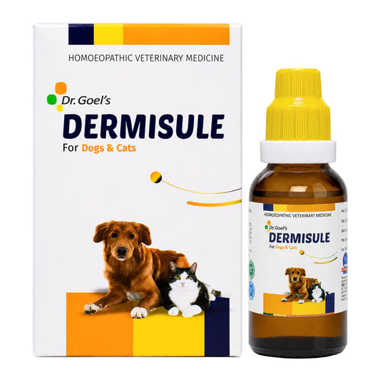 DERMISULE for PETS 30ml For Skin Infections
