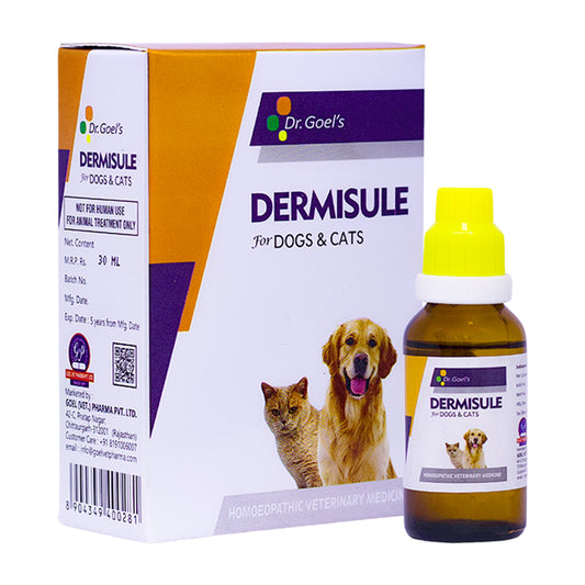 DERMISULE for PETS 30ml For Skin Infections