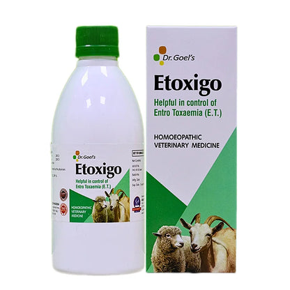 Etoxigo for Sheep and Goat – It Helpful in controlling of Entro Toxaemia (E.T)