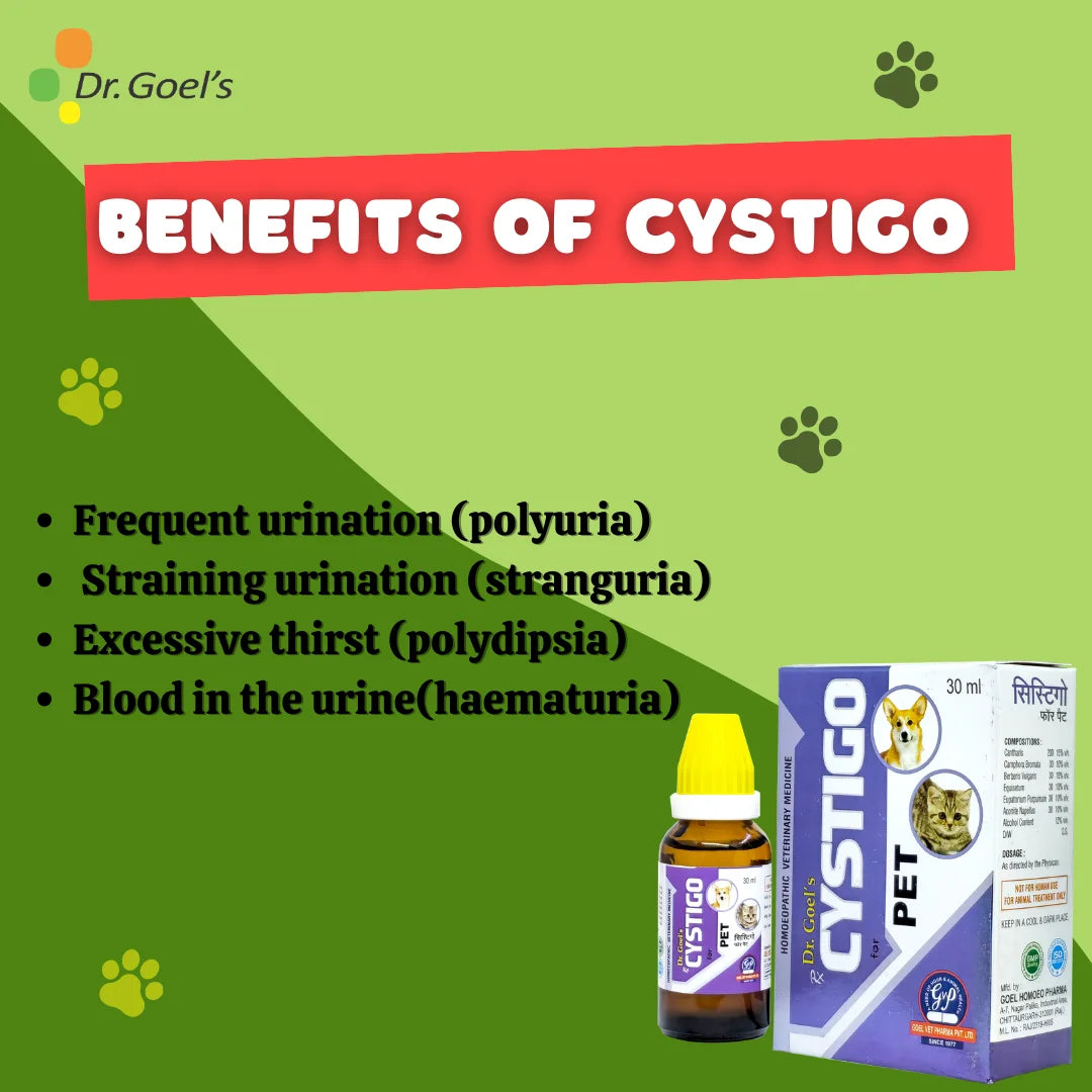 CYSTIGO for PETS 30ml For Urinary Problems