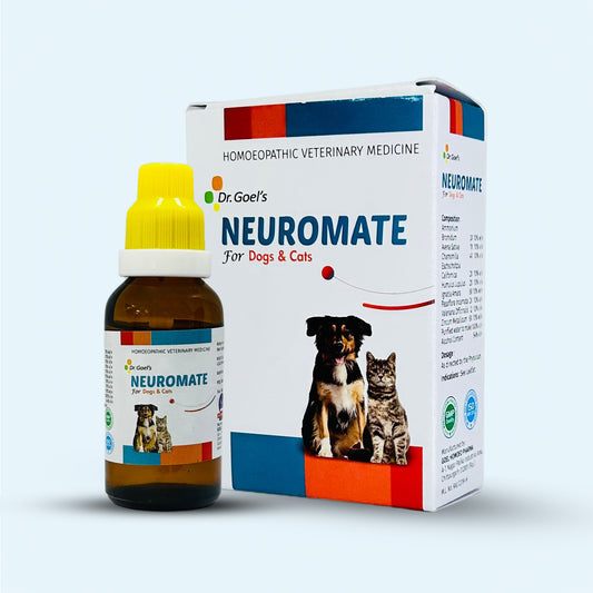 NEUROMATE for PET 30ml For Epilepsy or seizure disorder