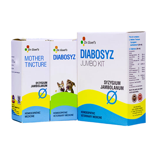 DIABOSYZ JUMBO KIT for PETS 30ML For Diabetes