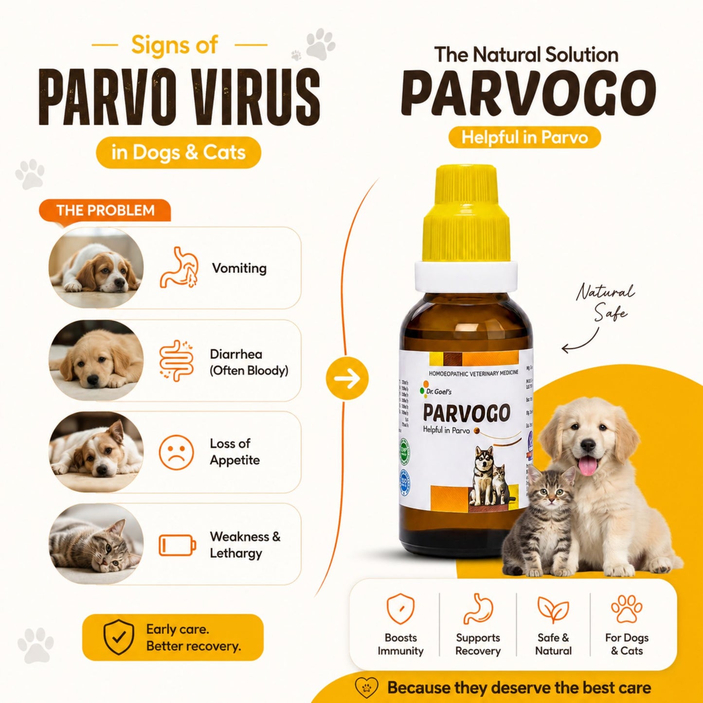 PARVOGO for PARVO VIRUS in DOG and CAT