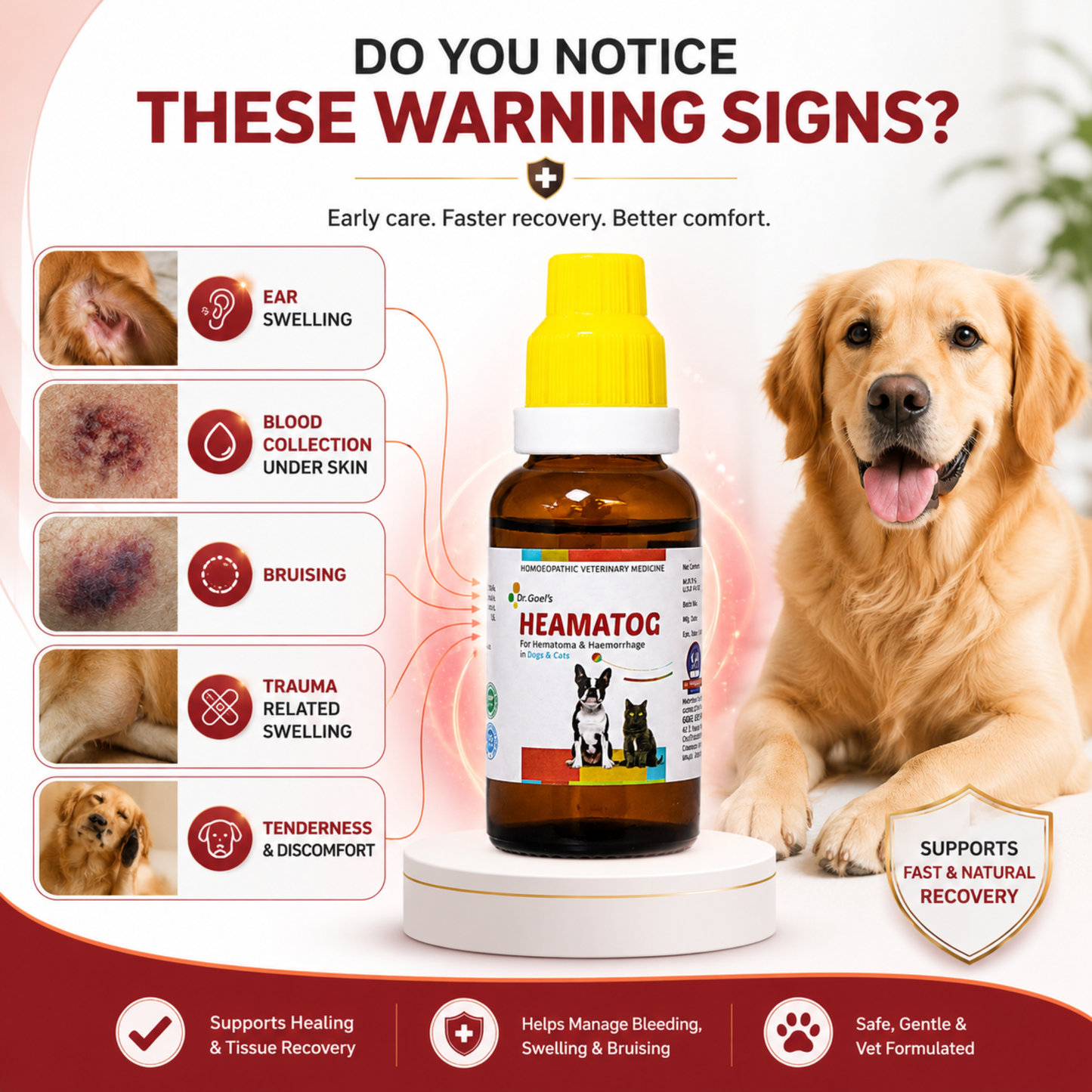 HEAMATOG For Hematoma & Haemorrhage in Dogs & Cats