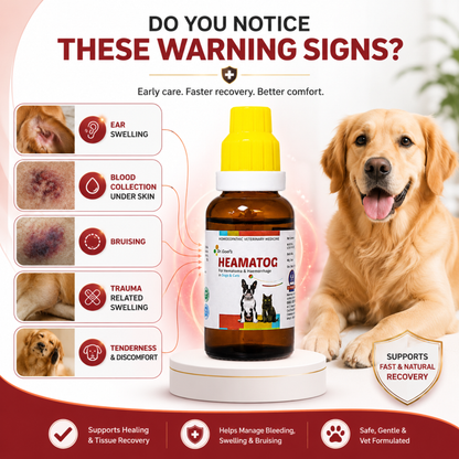 HEAMATOG For Hematoma & Haemorrhage in Dogs & Cats