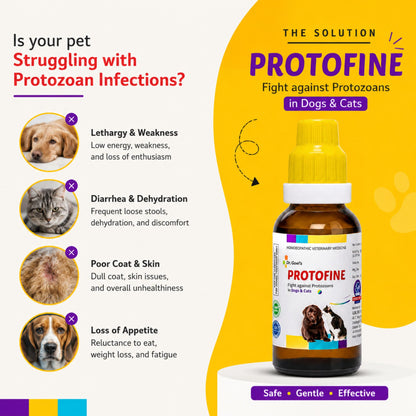 PROTOFINE Fight against Protozoans in Dogs & Cats