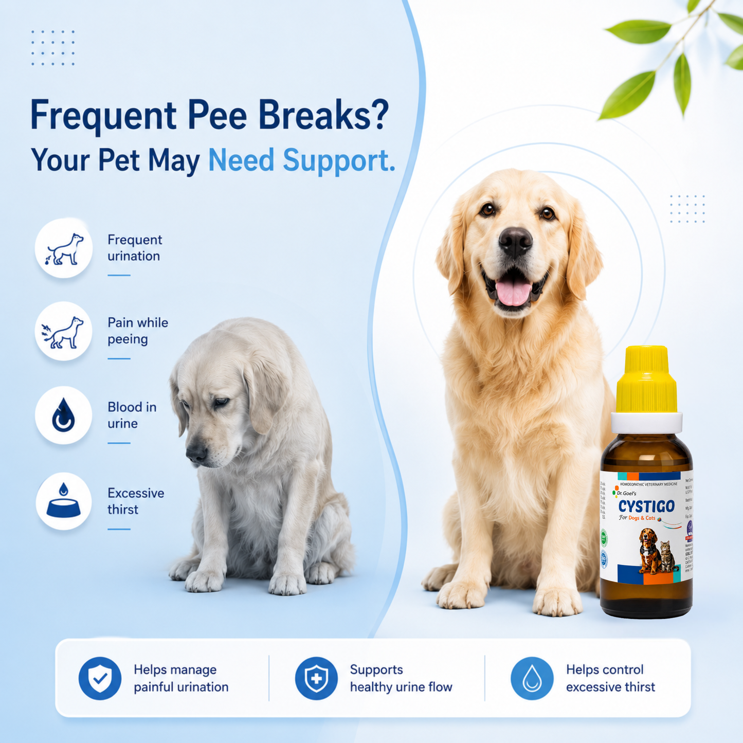CYSTIGO for PETS 30ml For Urinary Problems