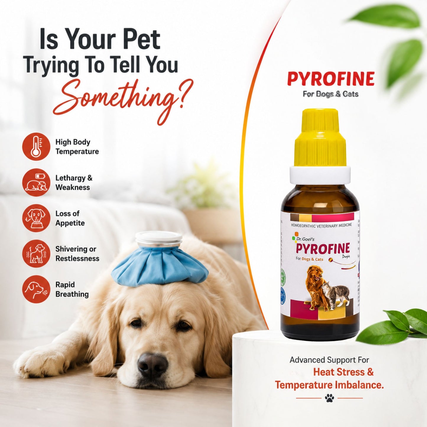 PYROFINE for PETS 20ML for Fever or Pyrexia