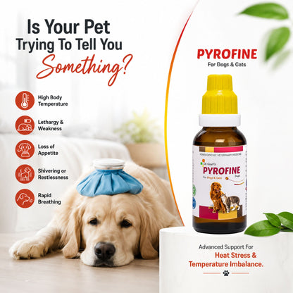 PYROFINE for PETS 20ML for Fever or Pyrexia