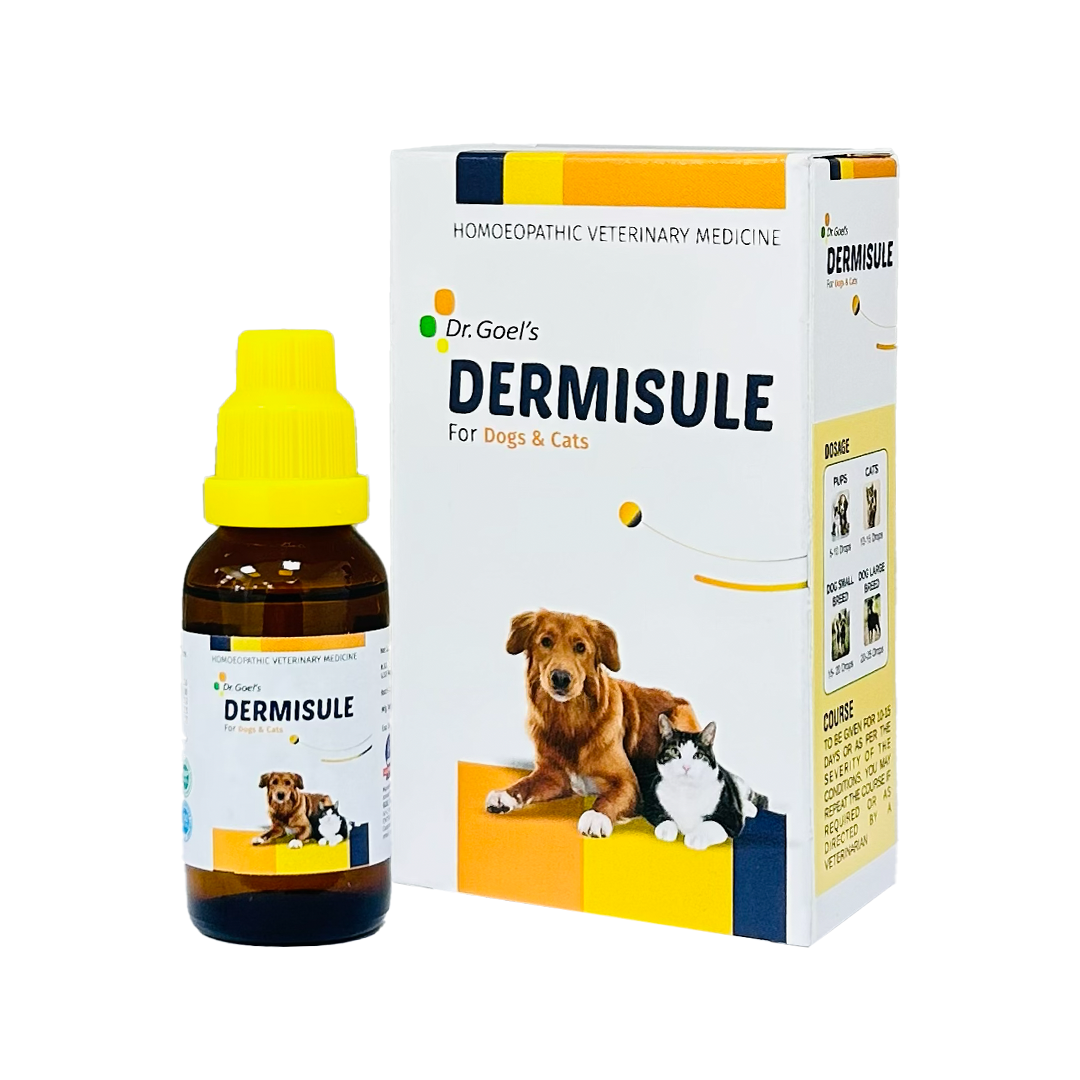 DERMISULE for PETS 30ml For Skin Infections