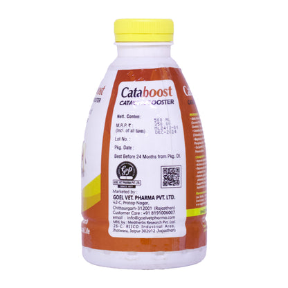 Cataboost Catalytic Booster For Aftercase of LSD like Viral Diseases