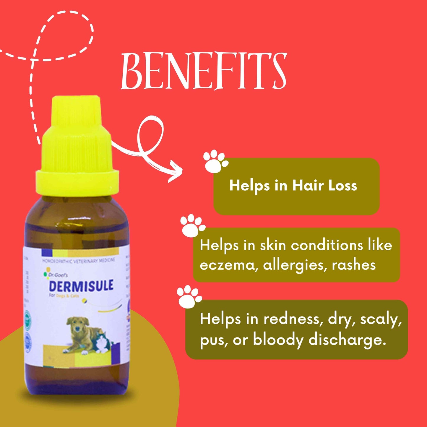 Triple Action For Soothing Skin Dermisule + Me & My Skin & Coat + Aloe Vera Shampoo (Combo)