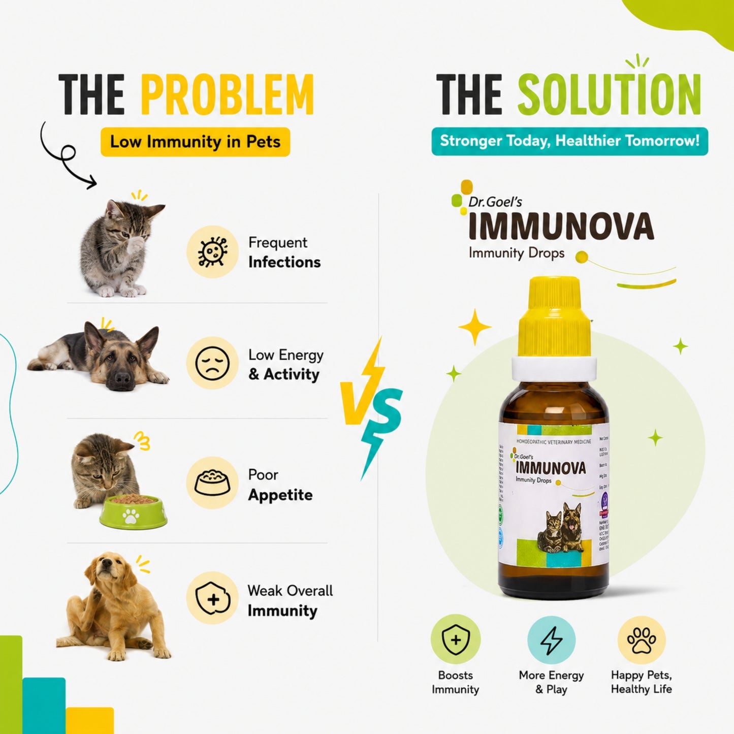 IMMUNOVA for INCREASING IMMUNITY in PETS