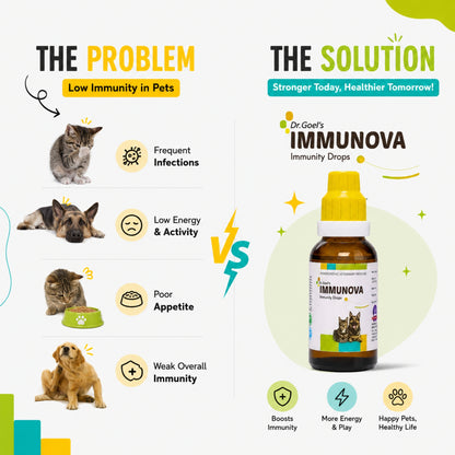 IMMUNOVA for INCREASING IMMUNITY in PETS