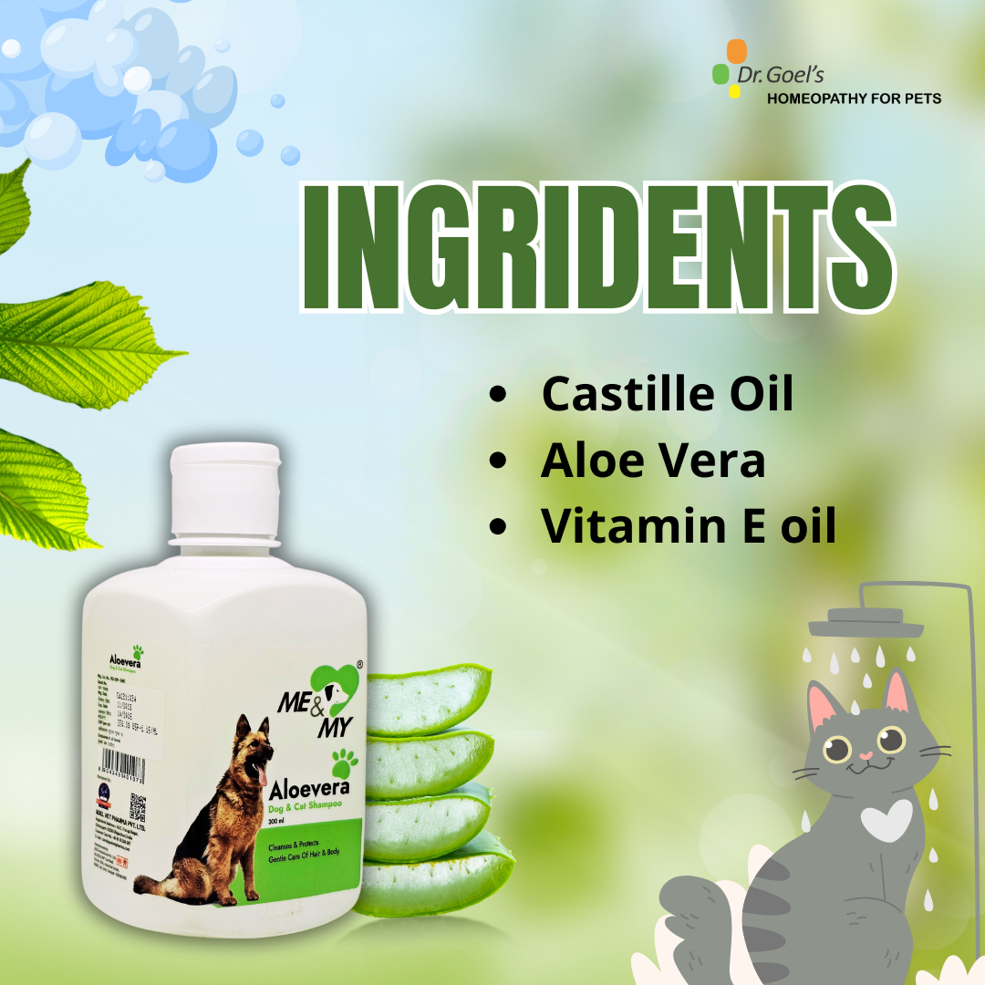 Aloevera Pet Shampoo for gentle care of hair and body coat