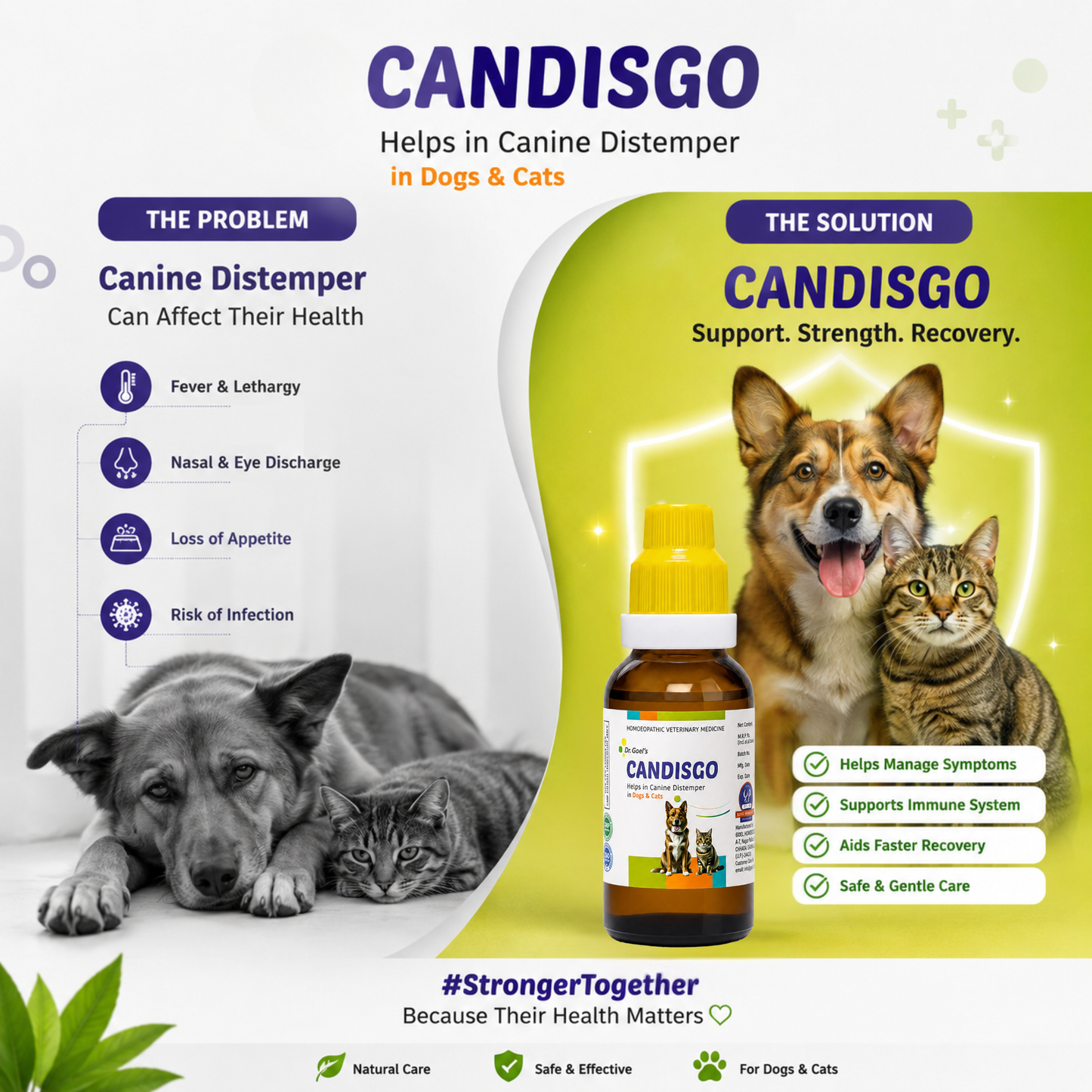 CANDISGO Helps in Canine Distemper in Dogs & Cats