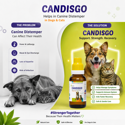 CANDISGO Helps in Canine Distemper in Dogs & Cats