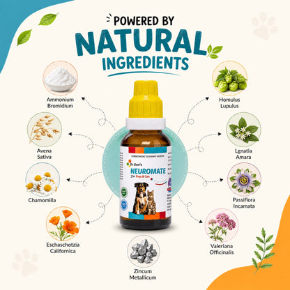 NEUROMATE for PET 30ml For Epilepsy or seizure disorder